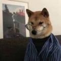 年少就是不服输