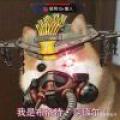 fps中端玩家