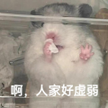 夏夜吖